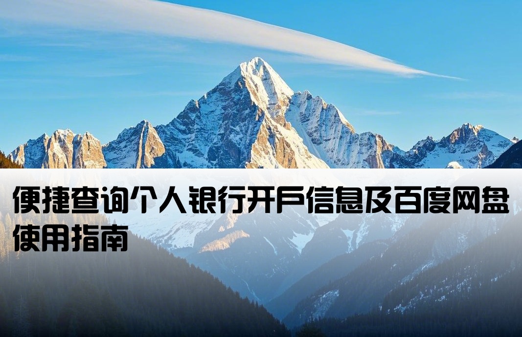 开户行 百度网盘