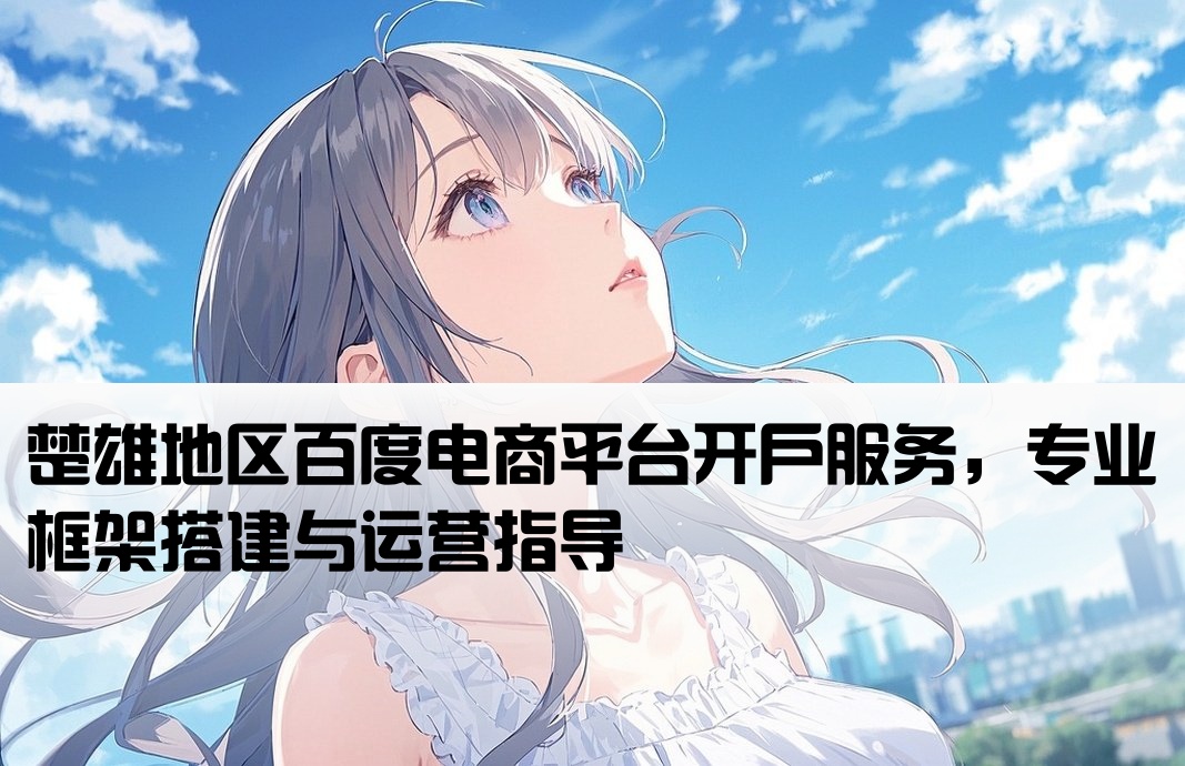 楚雄百度电商框架开户