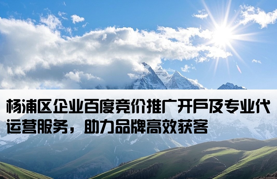 杨浦百度竞价推广开户代运营