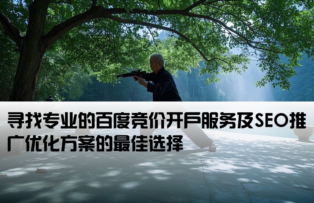 百度竞价开户哪里有seo推广