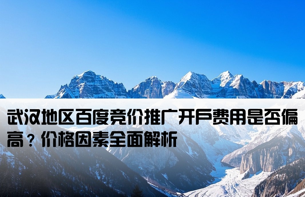 武汉百度竞价开户太贵了吧