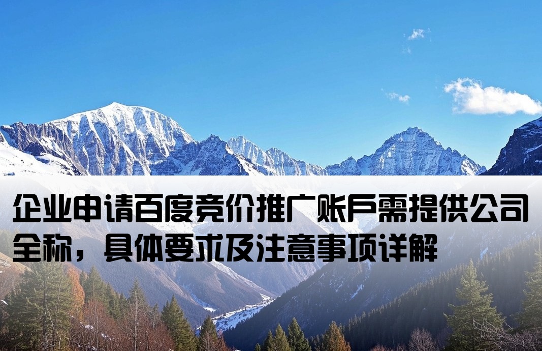 百度竞价开户要公司名