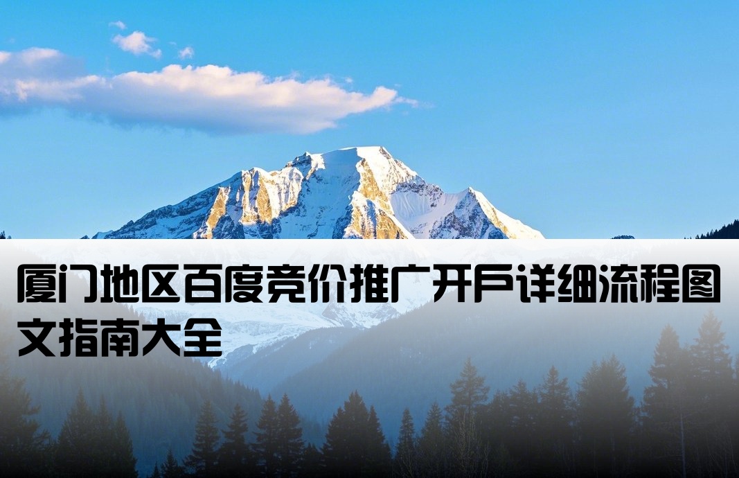 厦门百度竞价开户流程图片大全