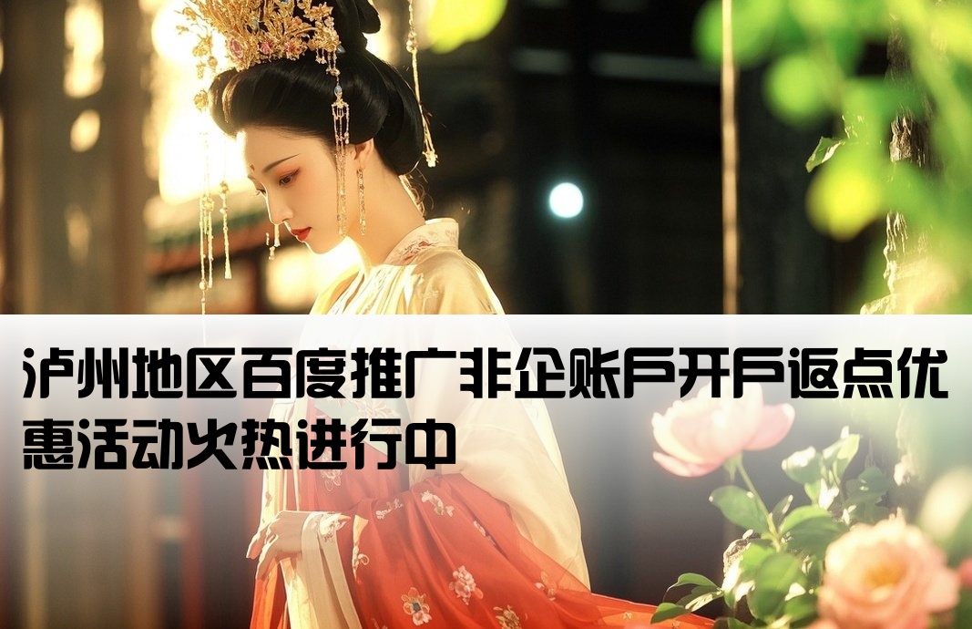 泸州百度非企返点开户