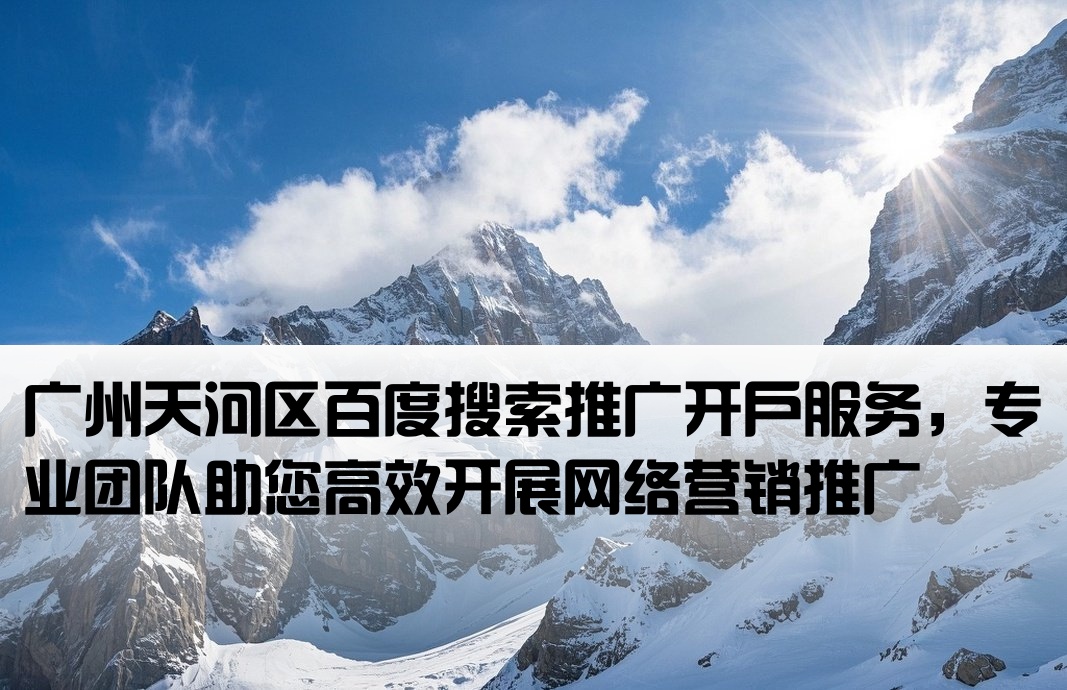 广州市天河百度大搜开户